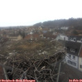 09_00-nest.jpg