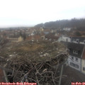 09_05-nest.jpg