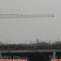 09_10-mast.jpg