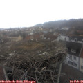 09_10-nest.jpg