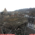 09_15-nest.jpg