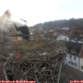 09_30-nest.jpg