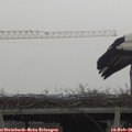 09_35-mast.jpg