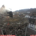 09_35-nest.jpg