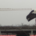 09_40-mast.jpg