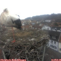 09_40-nest.jpg