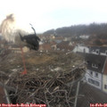 09_55-nest.jpg
