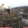 10_05-nest.jpg