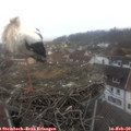 10_10-nest.jpg