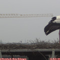 10_20-mast.jpg