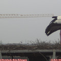 10_25-mast.jpg