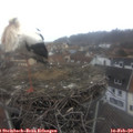 10_25-nest.jpg
