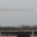 10_35-mast.jpg