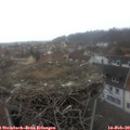 10_55-nest.jpg