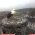 11_45-nest.jpg