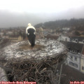 12_25-nest.jpg