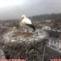 12_45-nest.jpg