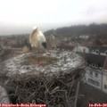 13_00-nest.jpg