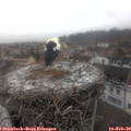 13_05-nest.jpg