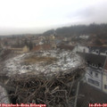 13_15-nest.jpg