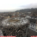 13_20-nest.jpg