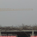 13_25-mast.jpg