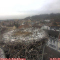 13_25-nest.jpg
