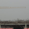 13_30-mast.jpg