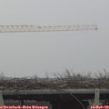 14_05-mast.jpg