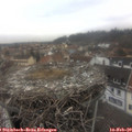 14_05-nest.jpg