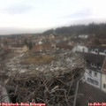 14_10-nest.jpg