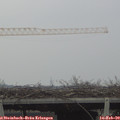 14_20-mast.jpg