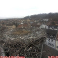 14_20-nest.jpg