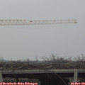 14_25-mast.jpg