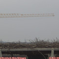 14_40-mast.jpg