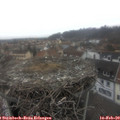 14_40-nest.jpg