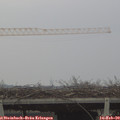 14_50-mast.jpg