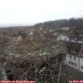 14_55-nest.jpg