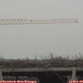 15_05-mast.jpg