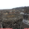 15_05-nest.jpg