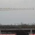 15_35-mast.jpg