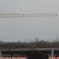 15_40-mast.jpg