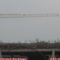 15_55-mast.jpg