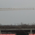16_05-mast.jpg