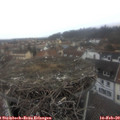 16_05-nest.jpg