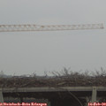 16_10-mast.jpg