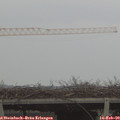 16_15-mast.jpg