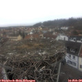 16_25-nest.jpg