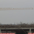 16_35-mast.jpg
