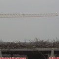 16_45-mast.jpg